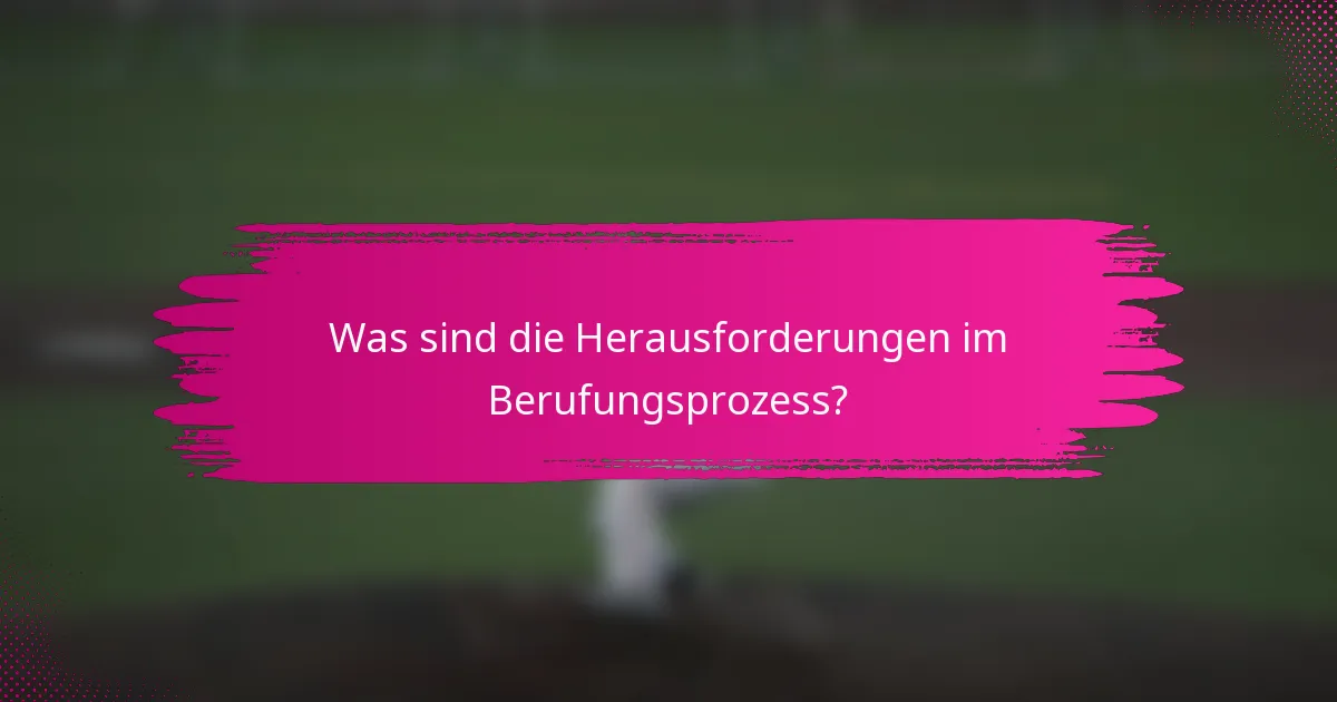 Was sind die Herausforderungen im Berufungsprozess?